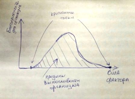 Закон оптимума в экологии (с примерами) закон оптимума